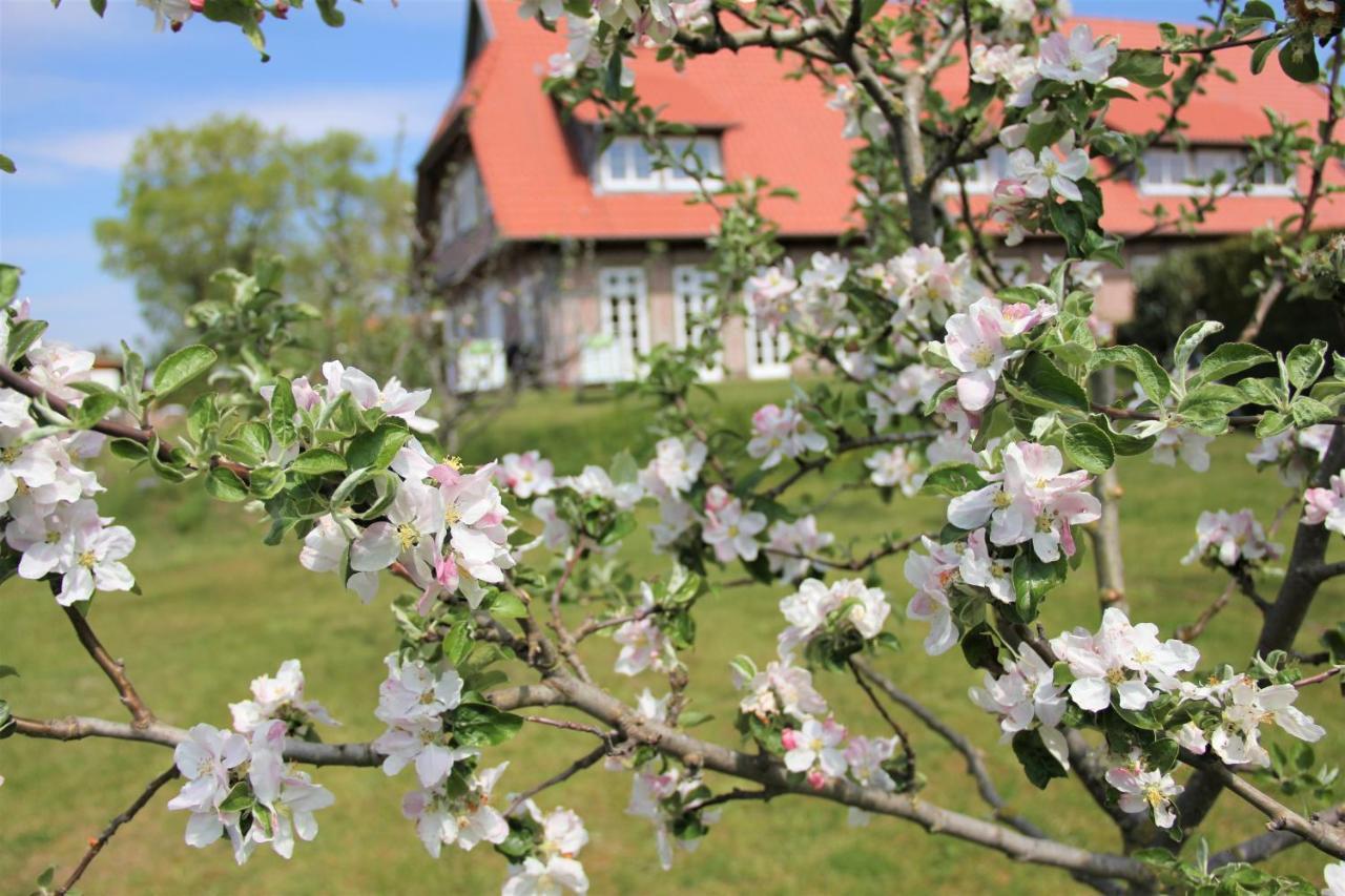 Landhaus Fünfseen Exterior foto